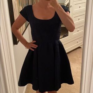 Zac Posen Navy Flair Fit Dress